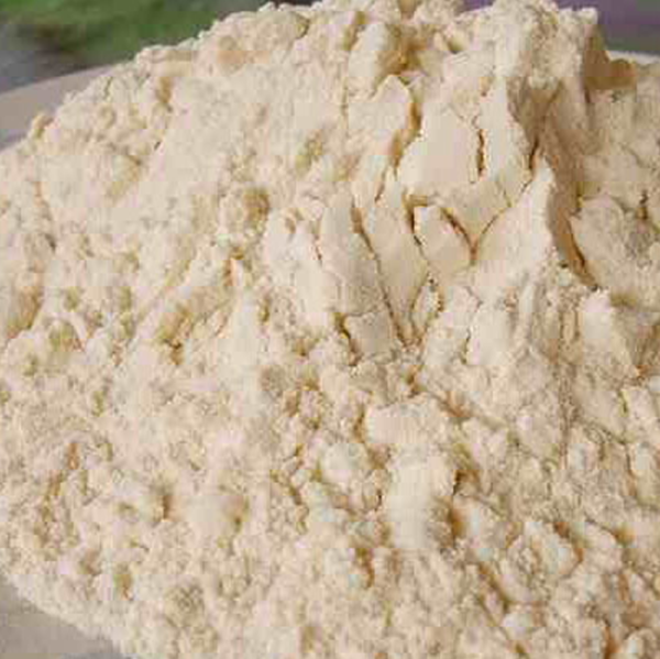 Soy Protein Powder for Nutraceuticals